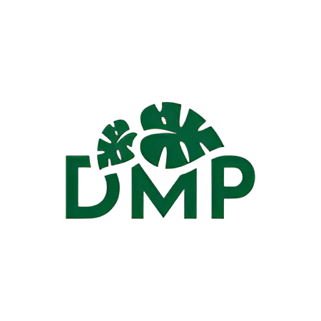 Dmp.cz